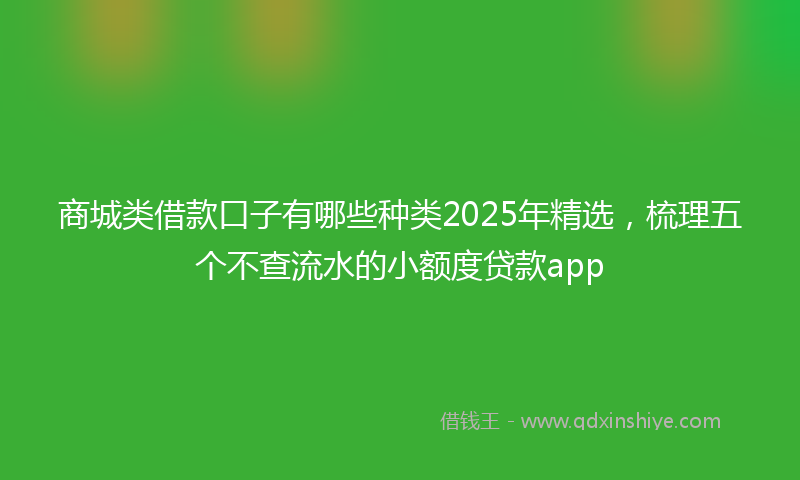 商城类借款口子有哪些种类2025年精选，梳理五个不查流水的小额度贷款app