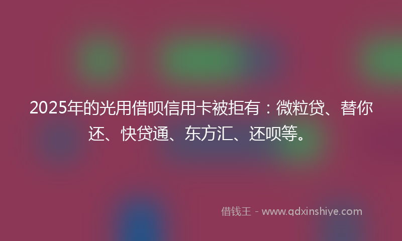 2025年的光用借呗信用卡被拒有：微粒贷、替你还、快贷通、东方汇、还呗等。