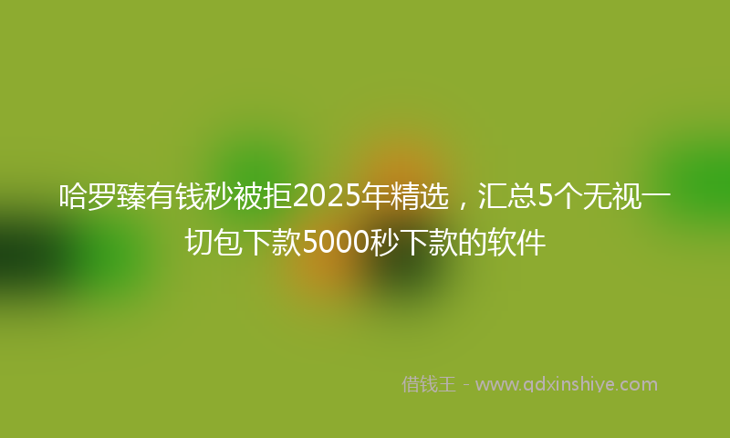 哈罗臻有钱秒被拒2025年精选，汇总5个无视一切包下款5000秒下款的软件