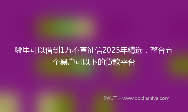 哪里可以借到1万不查征信2025年精选，整合五个黑户可以下的贷款平台