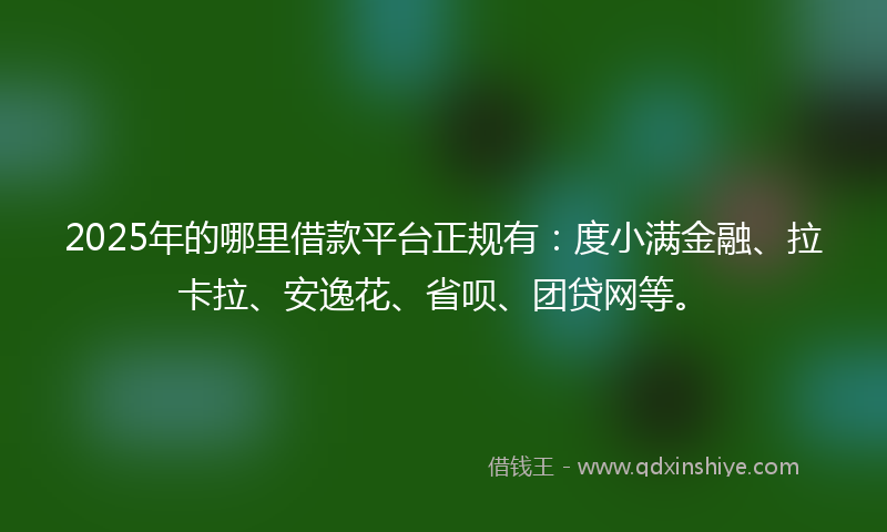 2025年的哪里借款平台正规有：度小满金融、拉卡拉、安逸花、省呗、团贷网等。