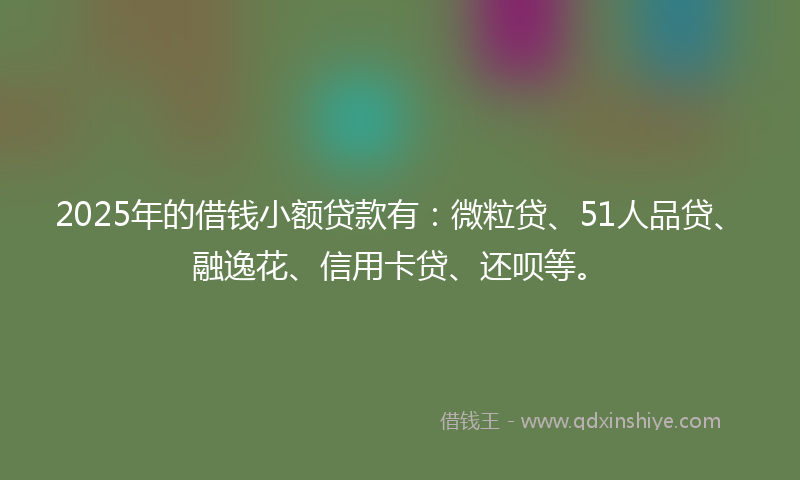 2025年的借钱小额贷款有：微粒贷、51人品贷、融逸花、信用卡贷、还呗等。