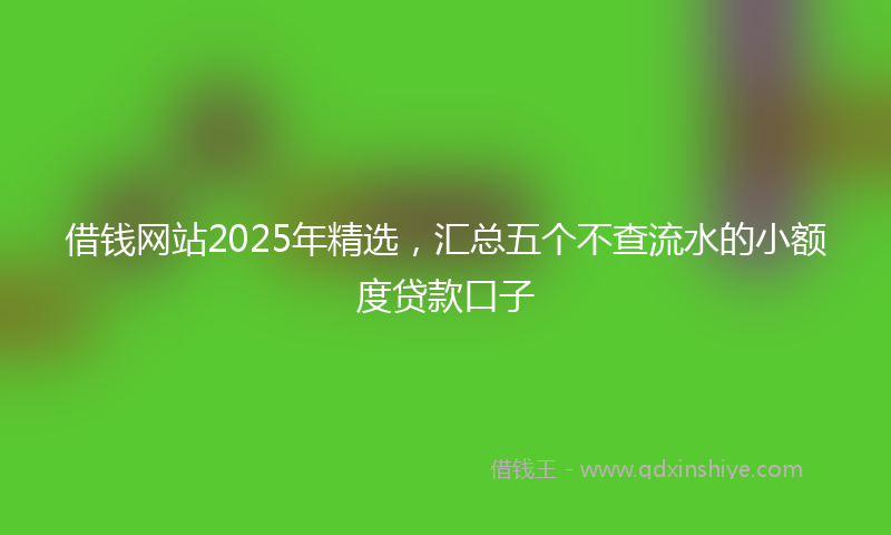 借钱网站2025年精选，汇总五个不查流水的小额度贷款口子
