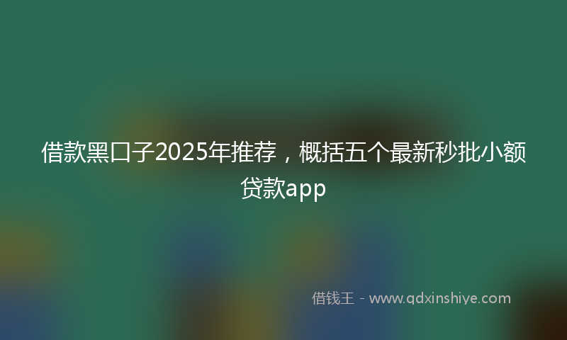 借款黑口子2025年推荐，概括五个最新秒批小额贷款app