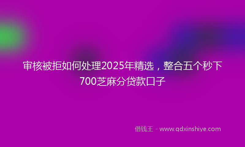 审核被拒如何处理2025年精选，整合五个秒下700芝麻分贷款口子
