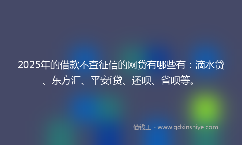 2025年的借款不查征信的网贷有哪些有：滴水贷、东方汇、平安i贷、还呗、省呗等。