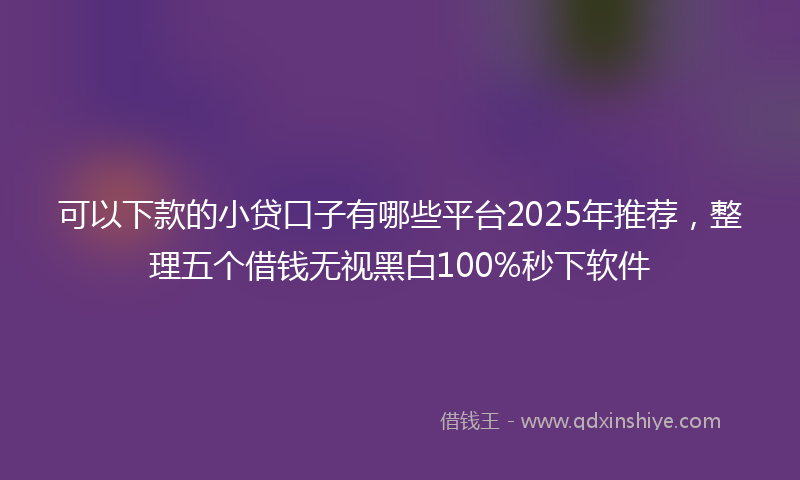 可以下款的小贷口子有哪些平台2025年推荐，整理五个借钱无视黑白100%秒下软件