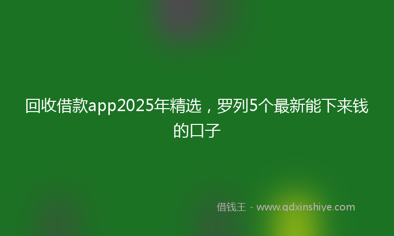 回收借款app2025年精选，罗列5个最新能下来钱的口子