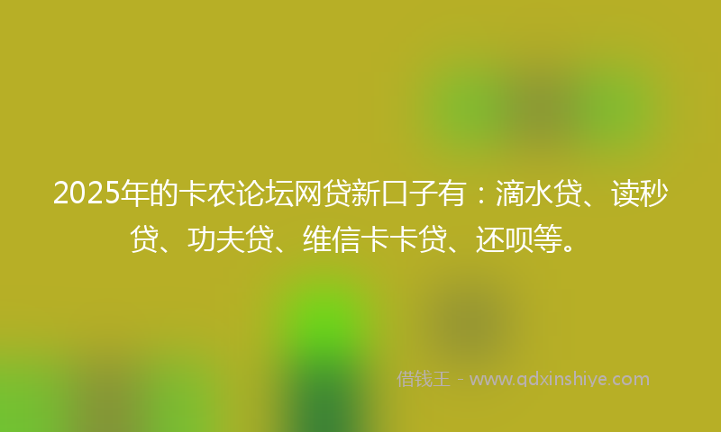 2025年的卡农论坛网贷新口子有：滴水贷、读秒贷、功夫贷、维信卡卡贷、还呗等。