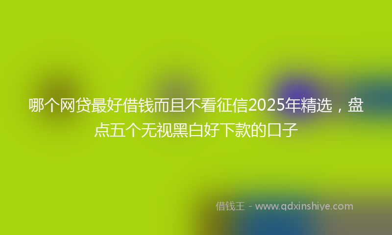 哪个网贷最好借钱而且不看征信2025年精选，盘点五个无视黑白好下款的口子