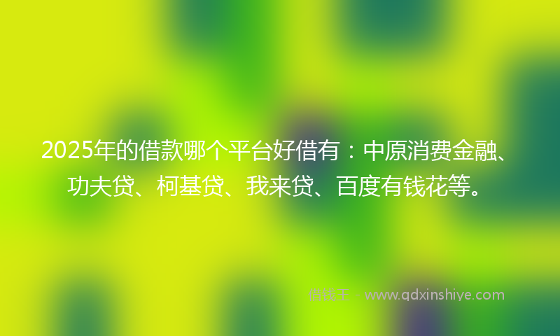 2025年的借款哪个平台好借有：中原消费金融、功夫贷、柯基贷、我来贷、百度有钱花等。