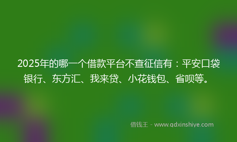 2025年的哪一个借款平台不查征信有：平安口袋银行、东方汇、我来贷、小花钱包、省呗等。