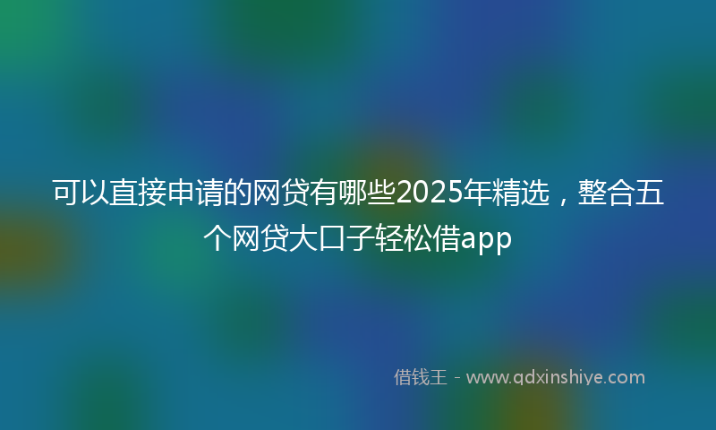 可以直接申请的网贷有哪些2025年精选，整合五个网贷大口子轻松借app
