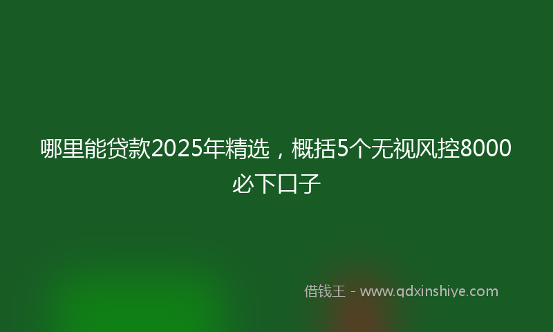 哪里能贷款2025年精选，概括5个无视风控8000必下口子