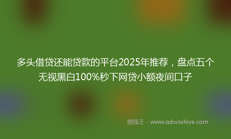 多头借贷还能贷款的平台2025年推荐，盘点五个无视黑白100%秒下网贷小额夜间口子