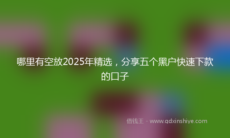 哪里有空放2025年精选，分享五个黑户快速下款的口子