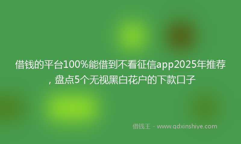 借钱的平台100%能借到不看征信app2025年推荐，盘点5个无视黑白花户的下款口子