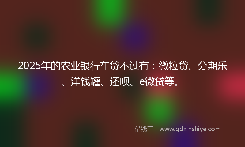 2025年的农业银行车贷不过有：微粒贷、分期乐、洋钱罐、还呗、e微贷等。