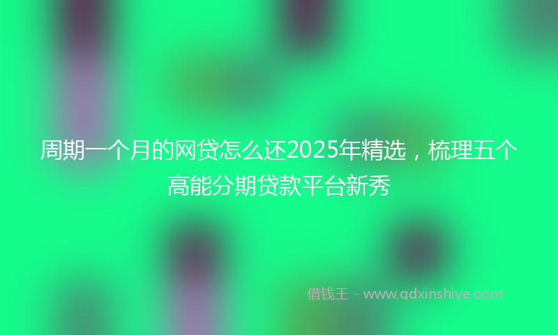 周期一个月的网贷怎么还2025年精选，梳理五个高能分期贷款平台新秀