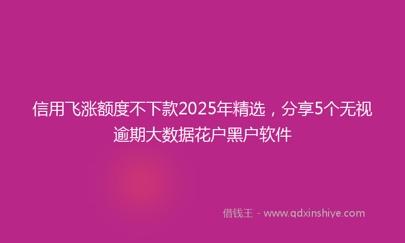 信用飞涨额度不下款2025年精选，分享5个无视逾期大数据花户黑户软件