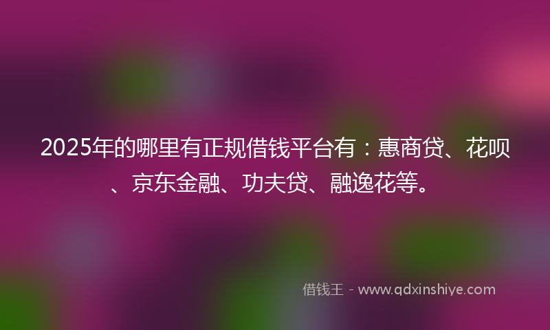 2025年的哪里有正规借钱平台有：惠商贷、花呗、京东金融、功夫贷、融逸花等。