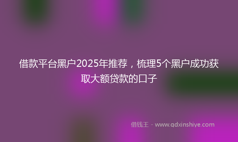 借款平台黑户2025年推荐，梳理5个黑户成功获取大额贷款的口子
