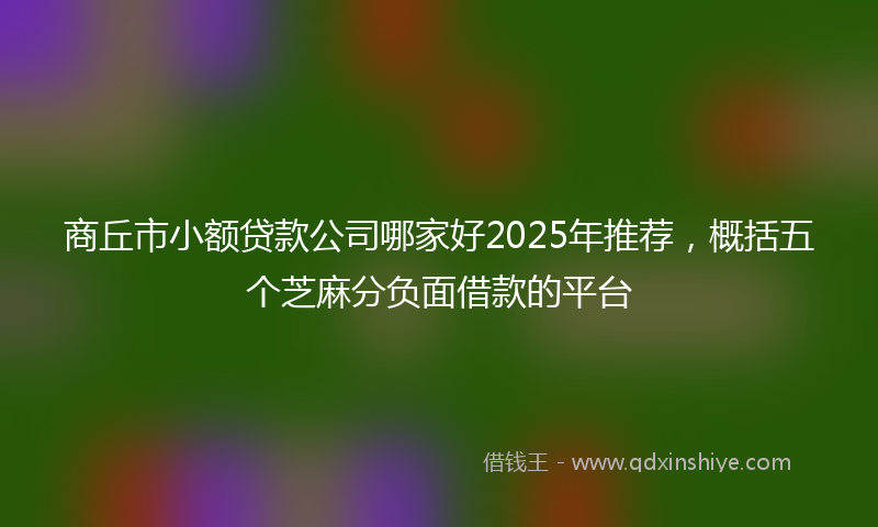 商丘市小额贷款公司哪家好2025年推荐，概括五个芝麻分负面借款的平台