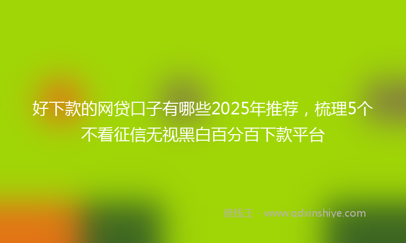好下款的网贷口子有哪些2025年推荐，梳理5个不看征信无视黑白百分百下款平台