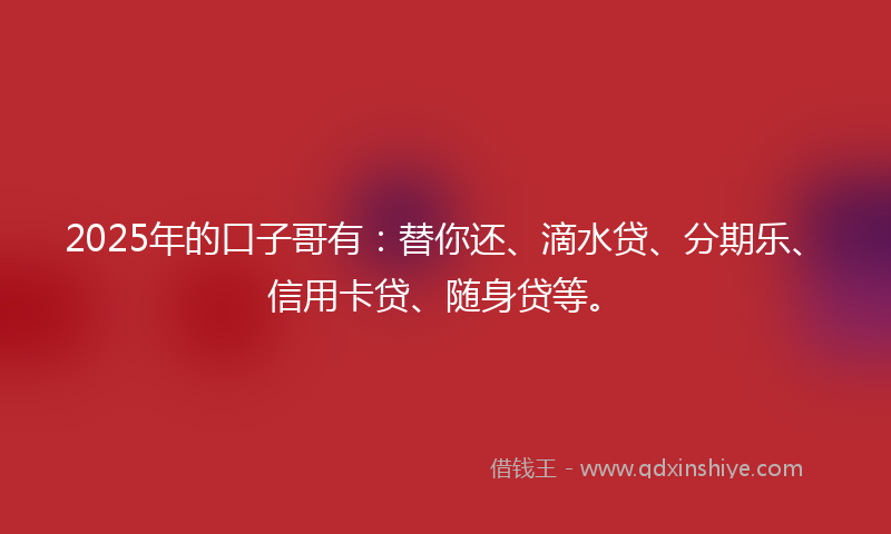 2025年的口子哥有：替你还、滴水贷、分期乐、信用卡贷、随身贷等。