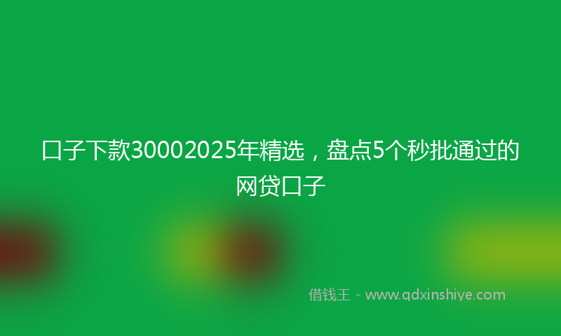 口子下款30002025年精选，盘点5个秒批通过的网贷口子