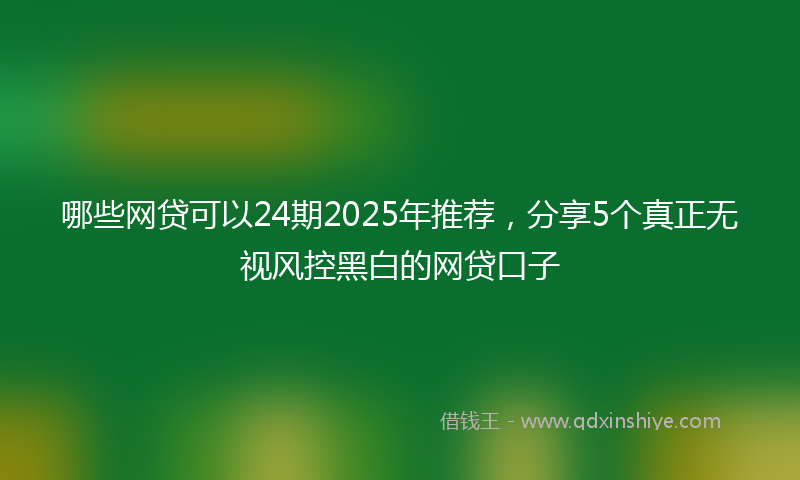 哪些网贷可以24期2025年推荐，分享5个真正无视风控黑白的网贷口子