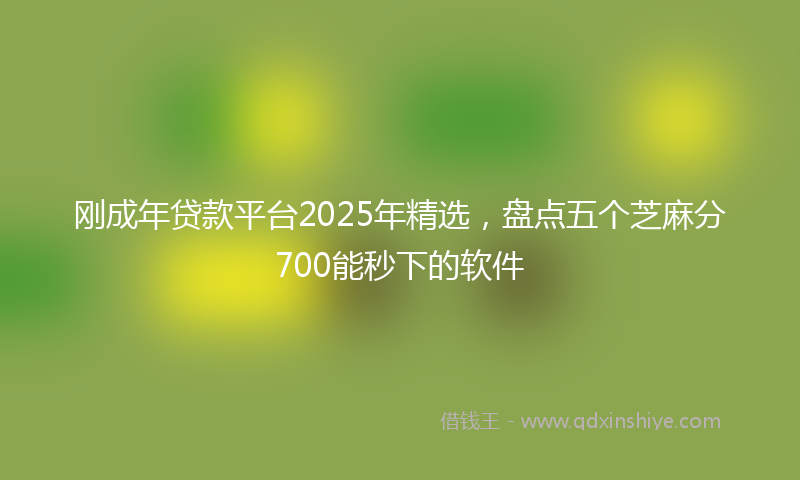 刚成年贷款平台2025年精选，盘点五个芝麻分700能秒下的软件