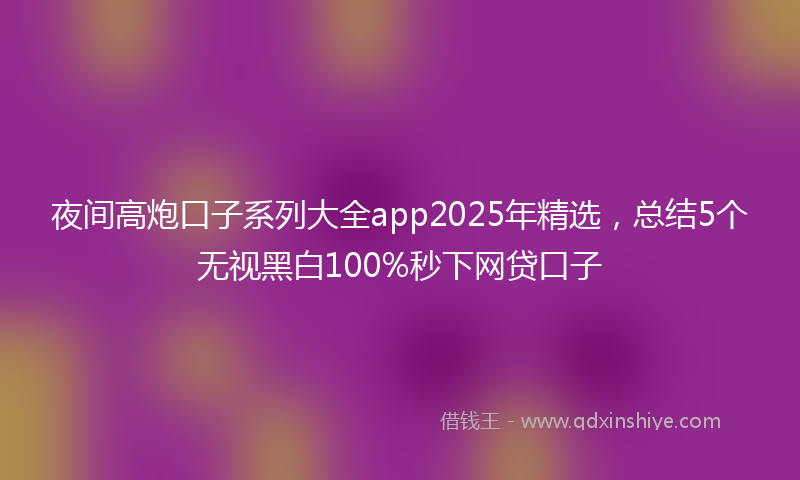 夜间高炮口子系列大全app2025年精选，总结5个无视黑白100%秒下网贷口子