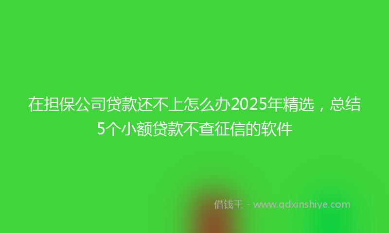 在担保公司贷款还不上怎么办2025年精选，总结5个小额贷款不查征信的软件
