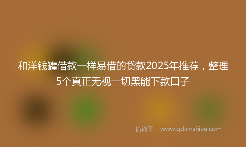 和洋钱罐借款一样易借的贷款2025年推荐，整理5个真正无视一切黑能下款口子