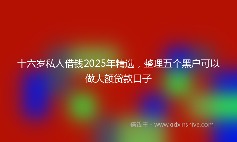 十六岁私人借钱2025年精选，整理五个黑户可以做大额贷款口子
