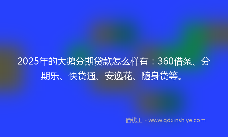 2025年的大鹅分期贷款怎么样有：360借条、分期乐、快贷通、安逸花、随身贷等。