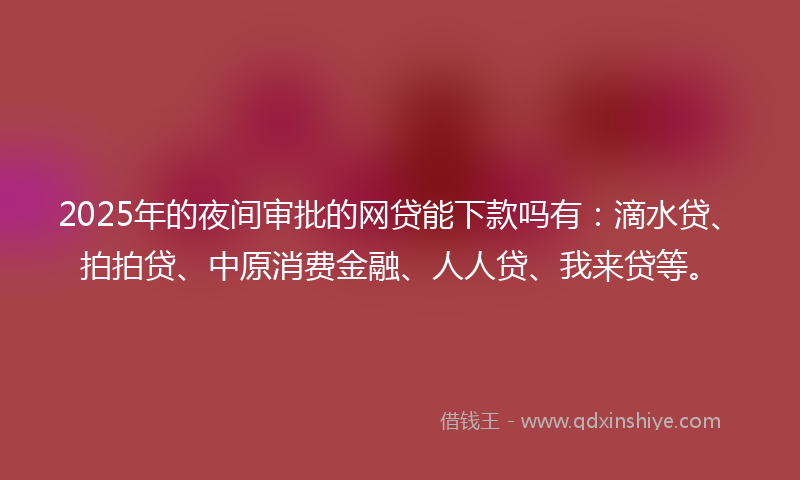 2025年的夜间审批的网贷能下款吗有：滴水贷、拍拍贷、中原消费金融、人人贷、我来贷等。