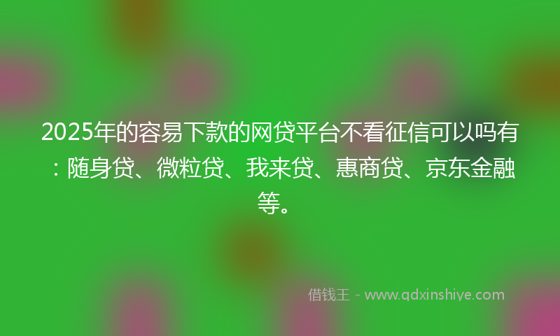 2025年的容易下款的网贷平台不看征信可以吗有：随身贷、微粒贷、我来贷、惠商贷、京东金融等。