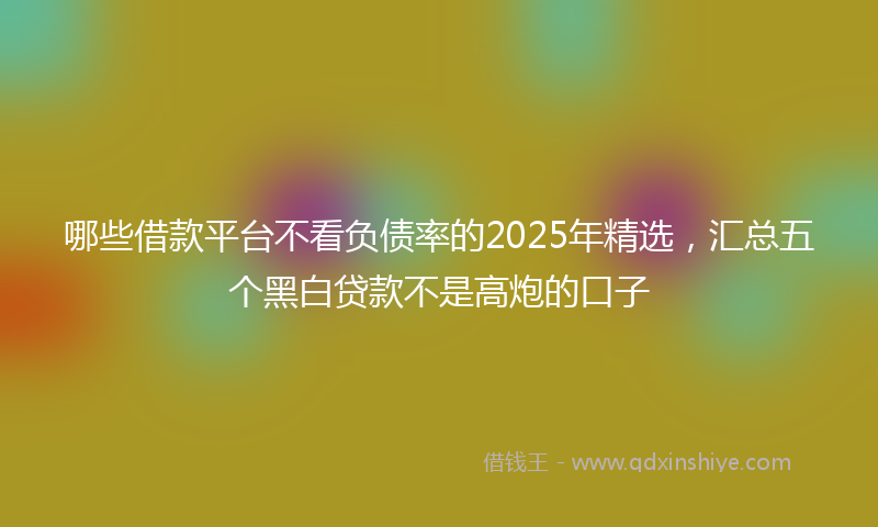哪些借款平台不看负债率的2025年精选，汇总五个黑白贷款不是高炮的口子
