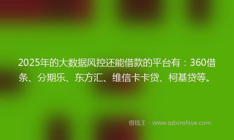 2025年的大数据风控还能借款的平台有：360借条、分期乐、东方汇、维信卡卡贷、柯基贷等。