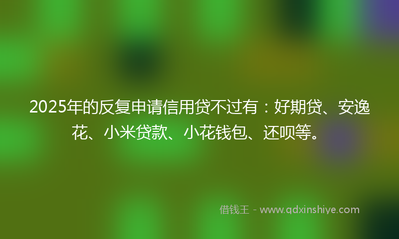 2025年的反复申请信用贷不过有：好期贷、安逸花、小米贷款、小花钱包、还呗等。