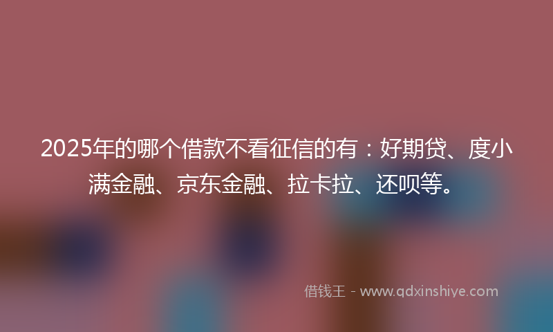 2025年的哪个借款不看征信的有：好期贷、度小满金融、京东金融、拉卡拉、还呗等。