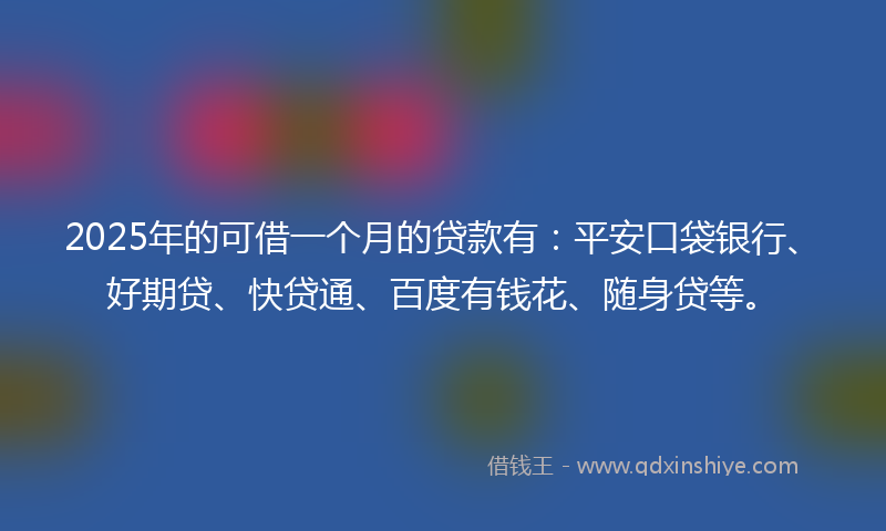 2025年的可借一个月的贷款有：平安口袋银行、好期贷、快贷通、百度有钱花、随身贷等。