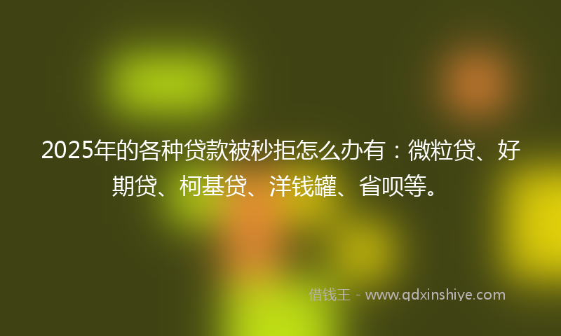 2025年的各种贷款被秒拒怎么办有：微粒贷、好期贷、柯基贷、洋钱罐、省呗等。