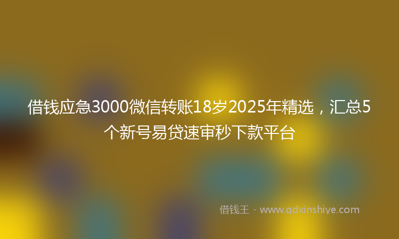 借钱应急3000微信转账18岁2025年精选，汇总5个新号易贷速审秒下款平台