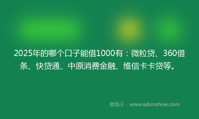 2025年的哪个口子能借1000有：微粒贷、360借条、快贷通、中原消费金融、维信卡卡贷等。