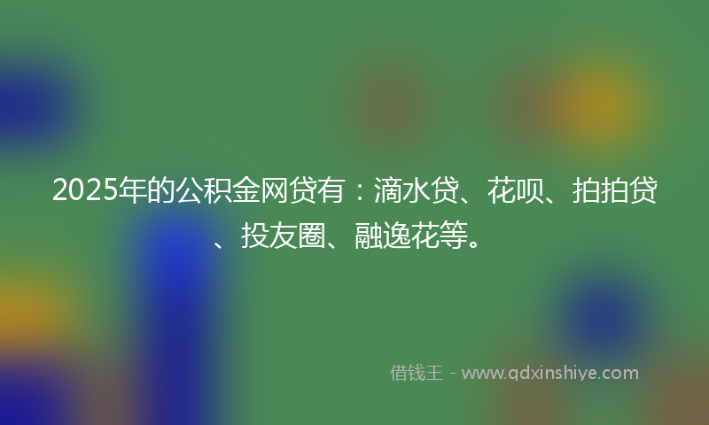 2025年的公积金网贷有：滴水贷、花呗、拍拍贷、投友圈、融逸花等。