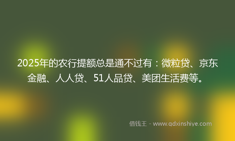 2025年的农行提额总是通不过有：微粒贷、京东金融、人人贷、51人品贷、美团生活费等。