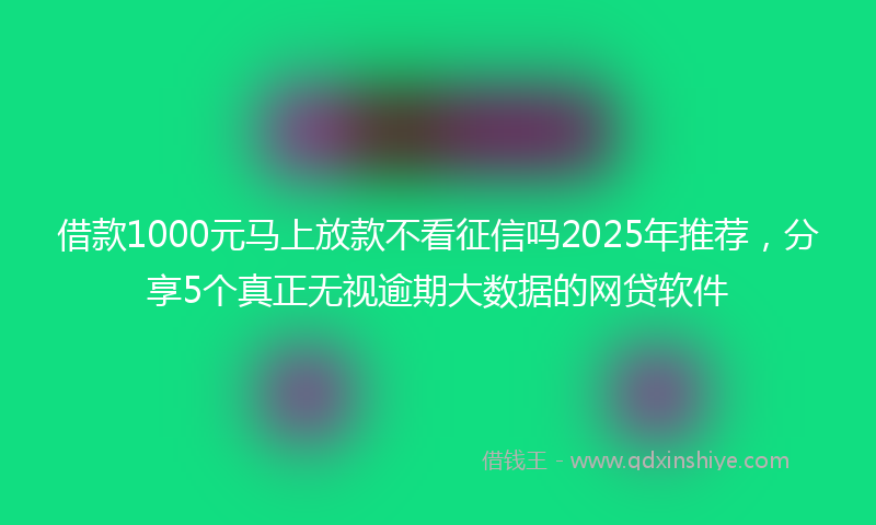 借款1000元马上放款不看征信吗2025年推荐，分享5个真正无视逾期大数据的网贷软件